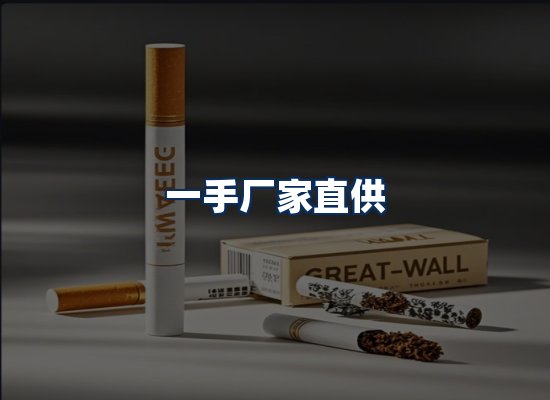 专业团队办公环境
